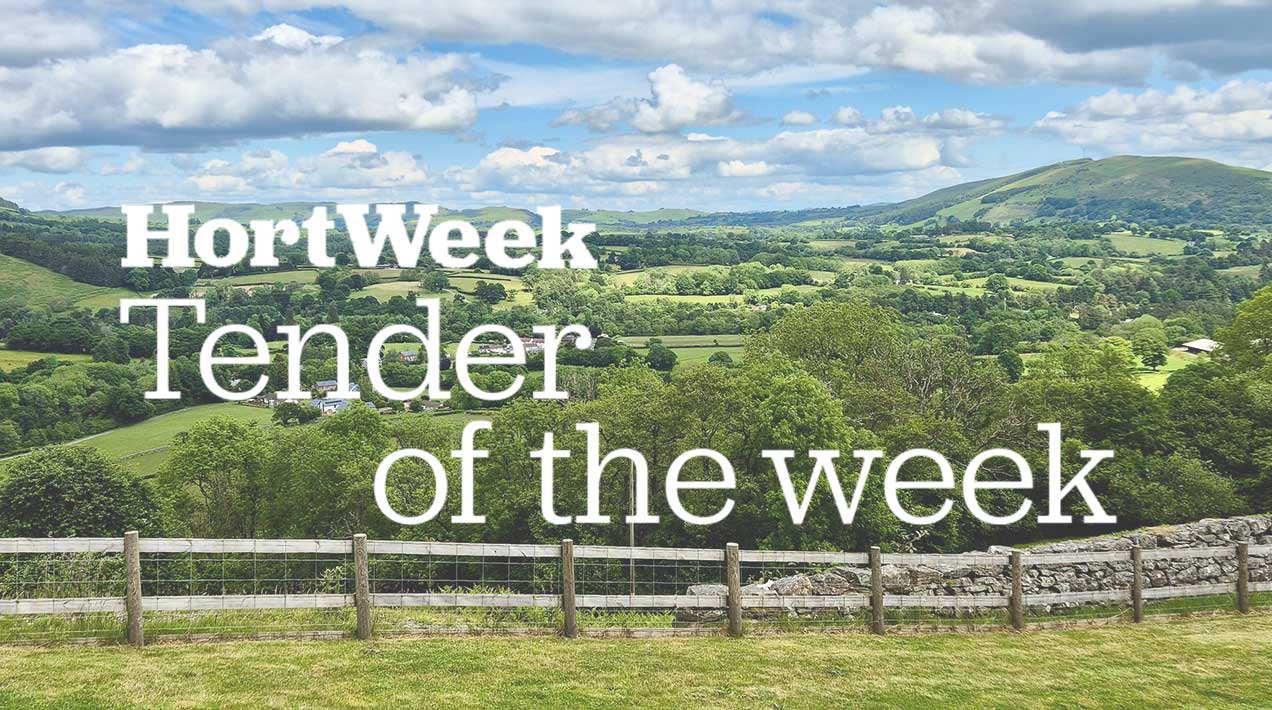 View of Llanwrthwl - credit: Flickr/Richard Szwejkowski (CC by S.A)
